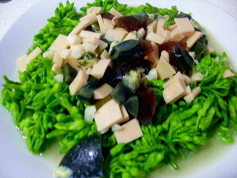 导演张静初和蒋雯丽,王家卫张静初蒋雯丽事件