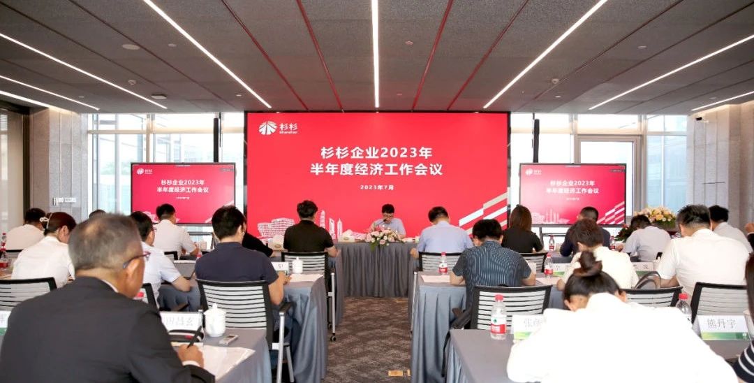 杉杉股份一季报分析,杉杉2019年报