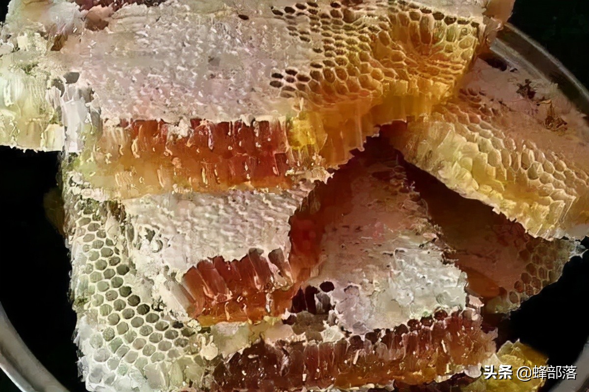 养蜂人蜂蜜产量,养蜂人新发明