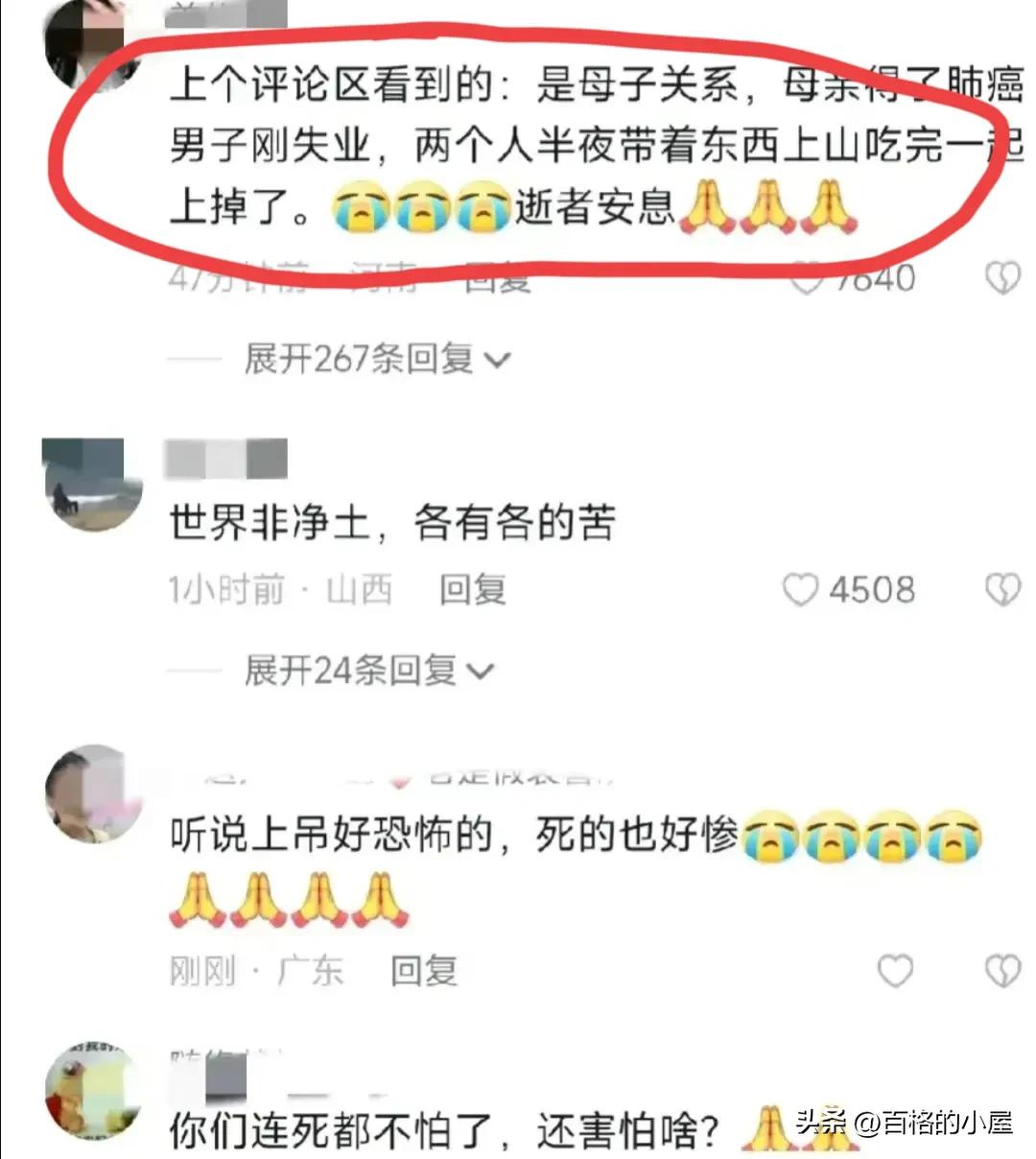 吉林省白山市北山公园上吊事件,吉林白山母子上吊事件后续