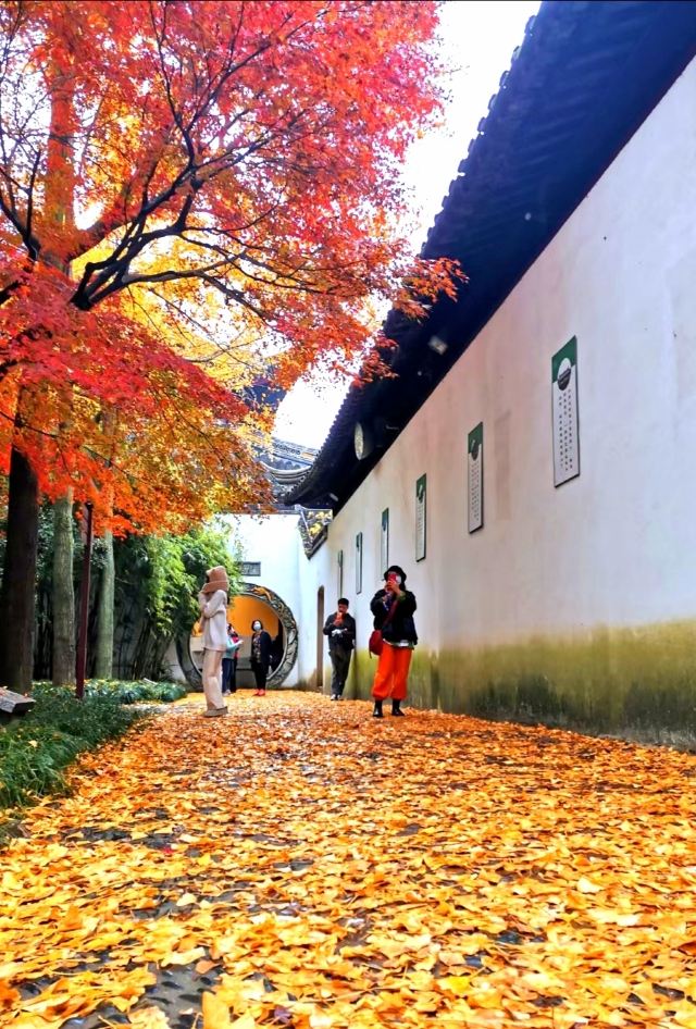 苏州秋季旅游最值得去的地方,苏州赏秋一日游攻略