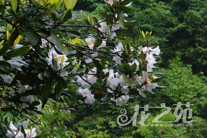 高高的紫云山,我们的青春故事曾在这里演绎