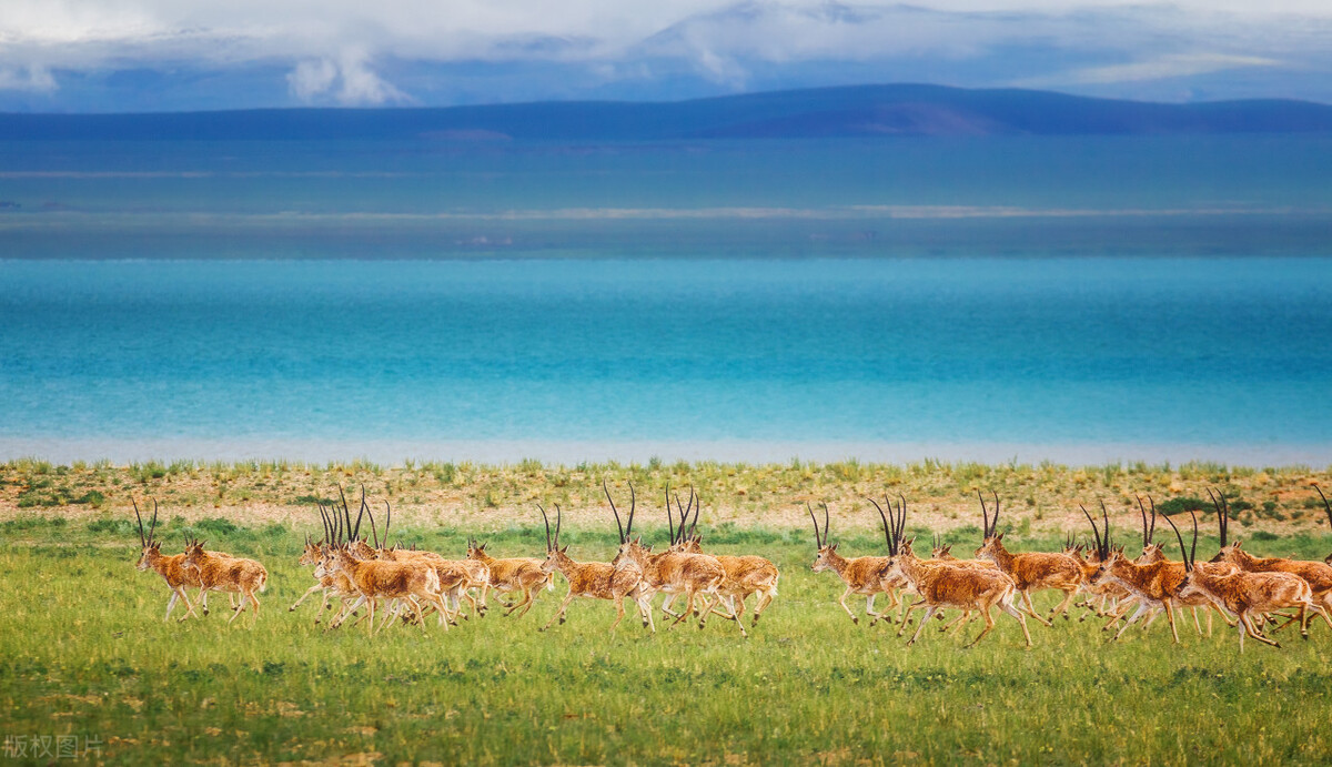 青海游玩必打卡,青海省必打卡景点