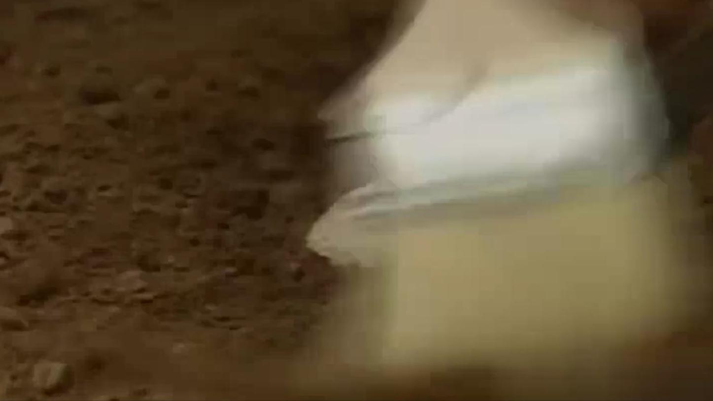 内蒙古的千年凤棺女尸陪葬品,1972年内蒙发现一座清代古墓