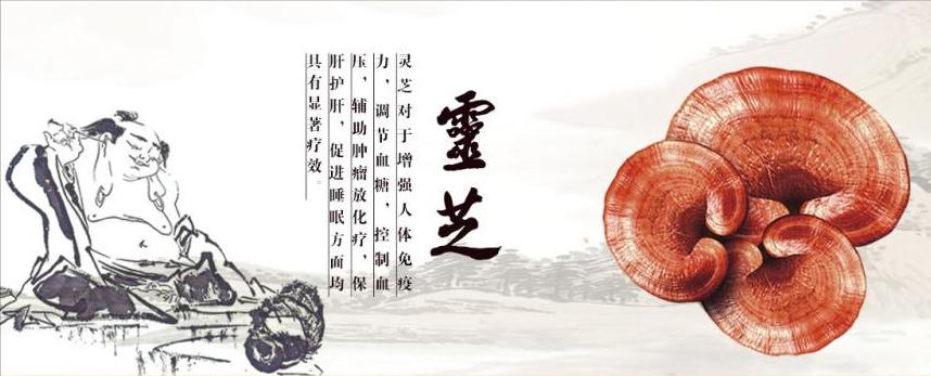 灵芝野生的好还是种植的好啊,野生灵芝品种哪些药用价值好