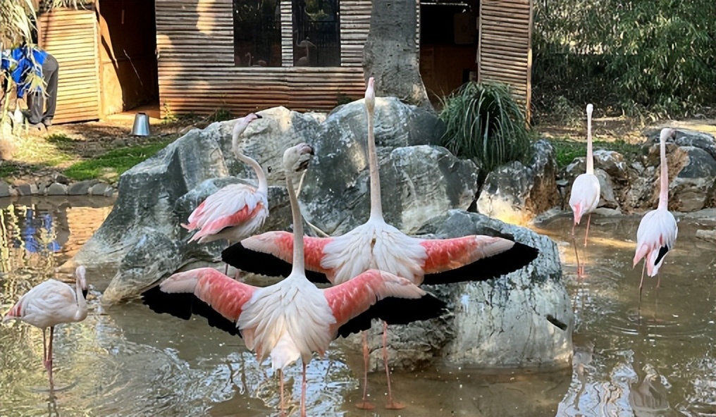 昆明旅行最值得打卡的十大景点,昆明周边湿地公园网红打卡地