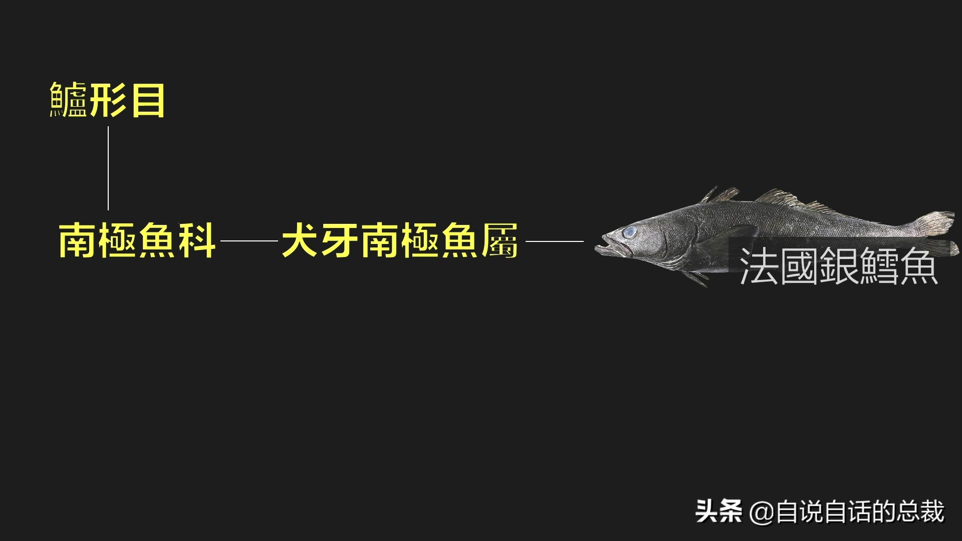 为什么买的鳕鱼段都是粘液,为什么买的鳕鱼那么多水