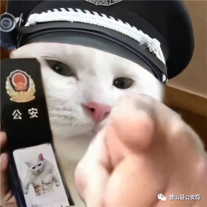 利用“GOIP”设备帮助信息网络犯罪活动，营山公安抓获人！