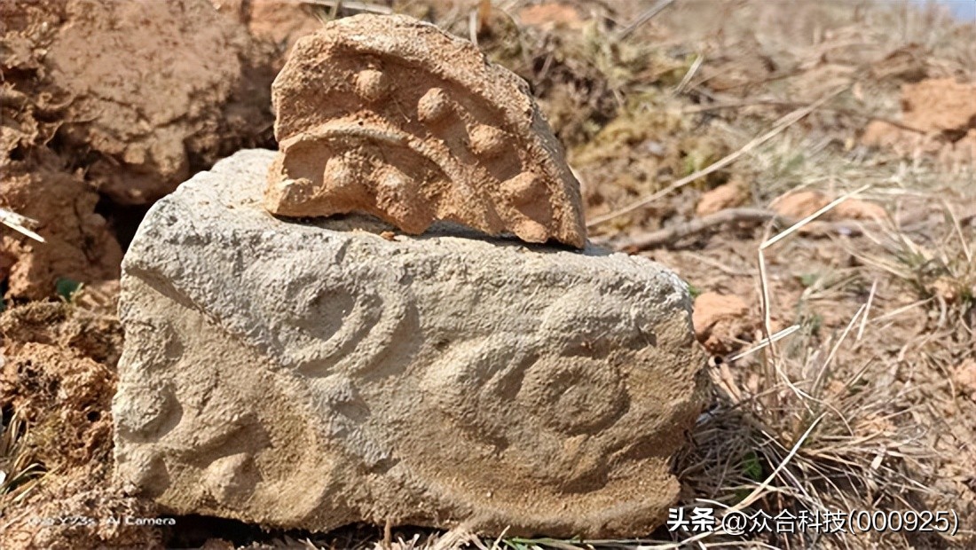 媒体转载丨蹄印古茶：低调得让人痛惜的一味禅茶