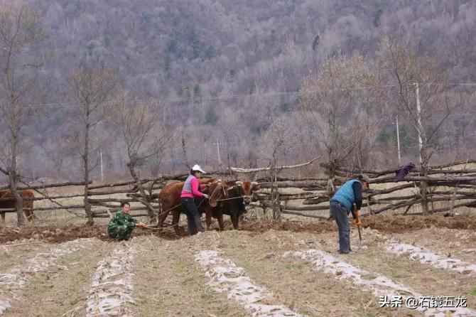 周至老县城露营,周至老县城厚畛子镇