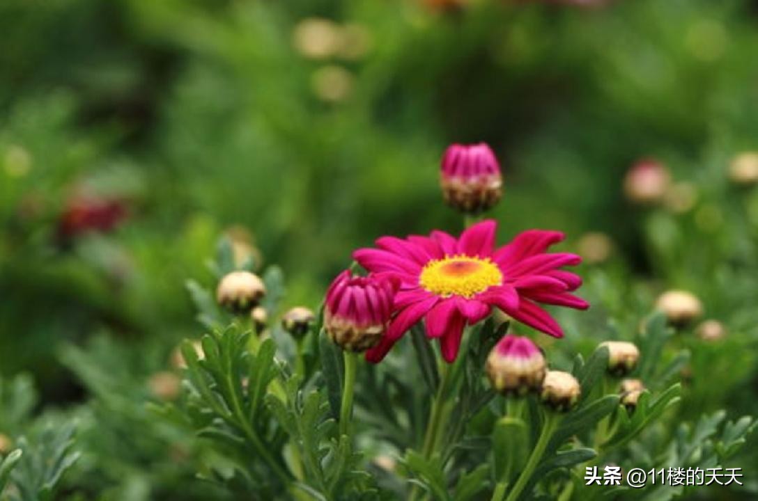 不联系的微信好友是删除还是拉黑,没有联系的微信好友要不要删除