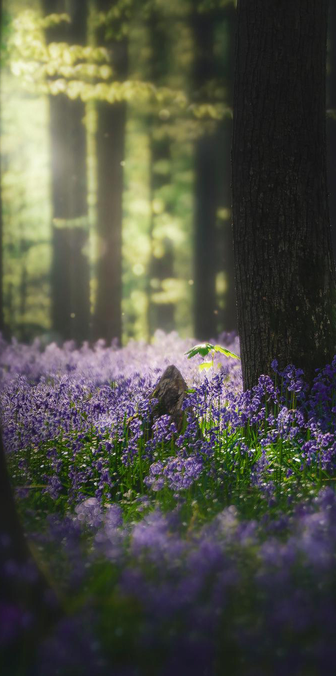 绝美高清手机壁纸唯美,绝美动漫手机壁纸高清