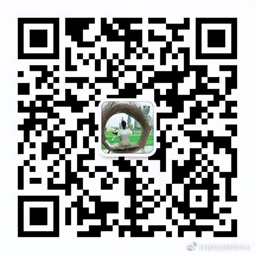 抖音橘猫,抖音涨粉创业