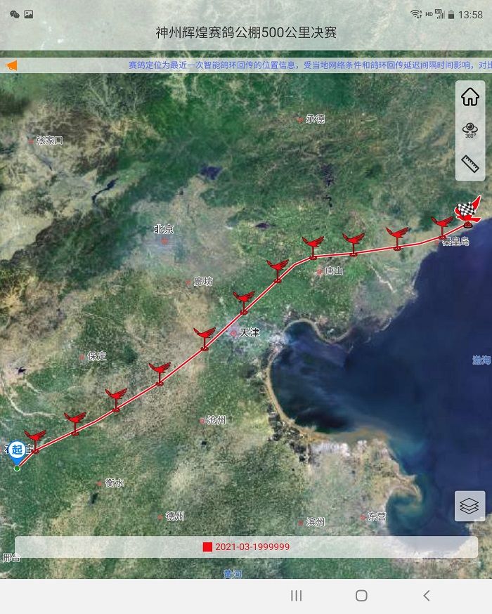 国际公棚鸽王赛奖杯,国际公棚赛