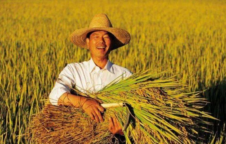 中央财政第三批实际种粮补贴政策,国家发放200亿种粮补贴了吗