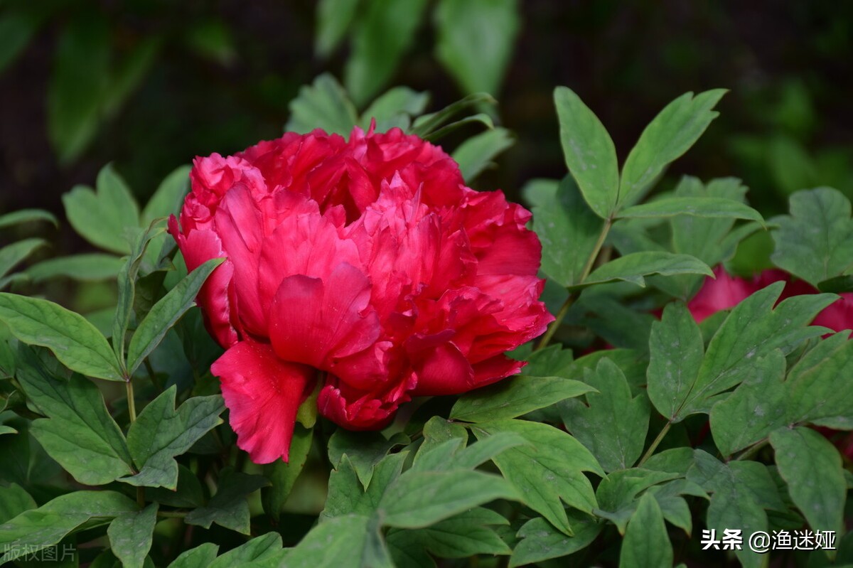 12星座适合的学校,12星座参加什么社团