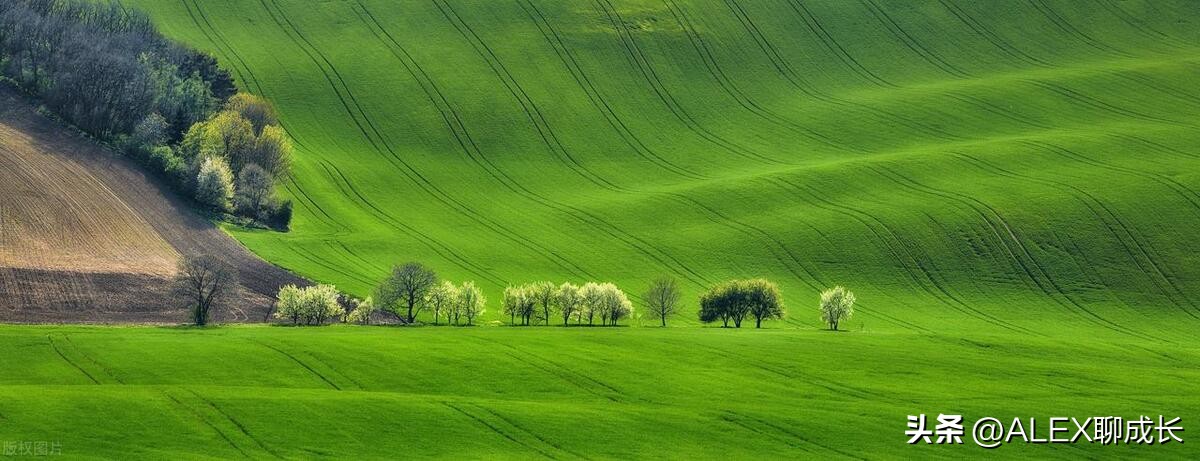 存钱是一种远见,一个家庭最大的远见
