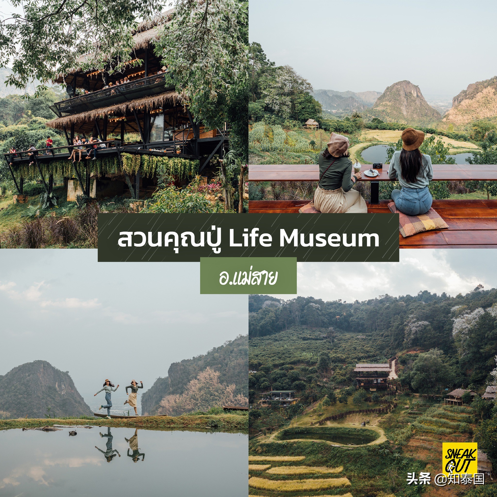 泰国清莱旅游攻略图,泰国雨天旅游必去景点