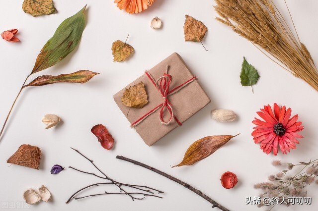 致富之路？500片银杏叶100元，一朵银杏花20元