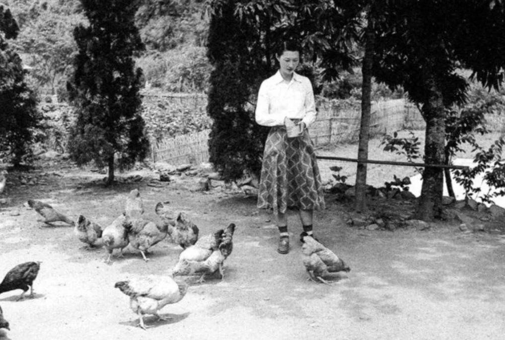 张学良赵四小姐真实照片,赵四小姐有多爱张学良