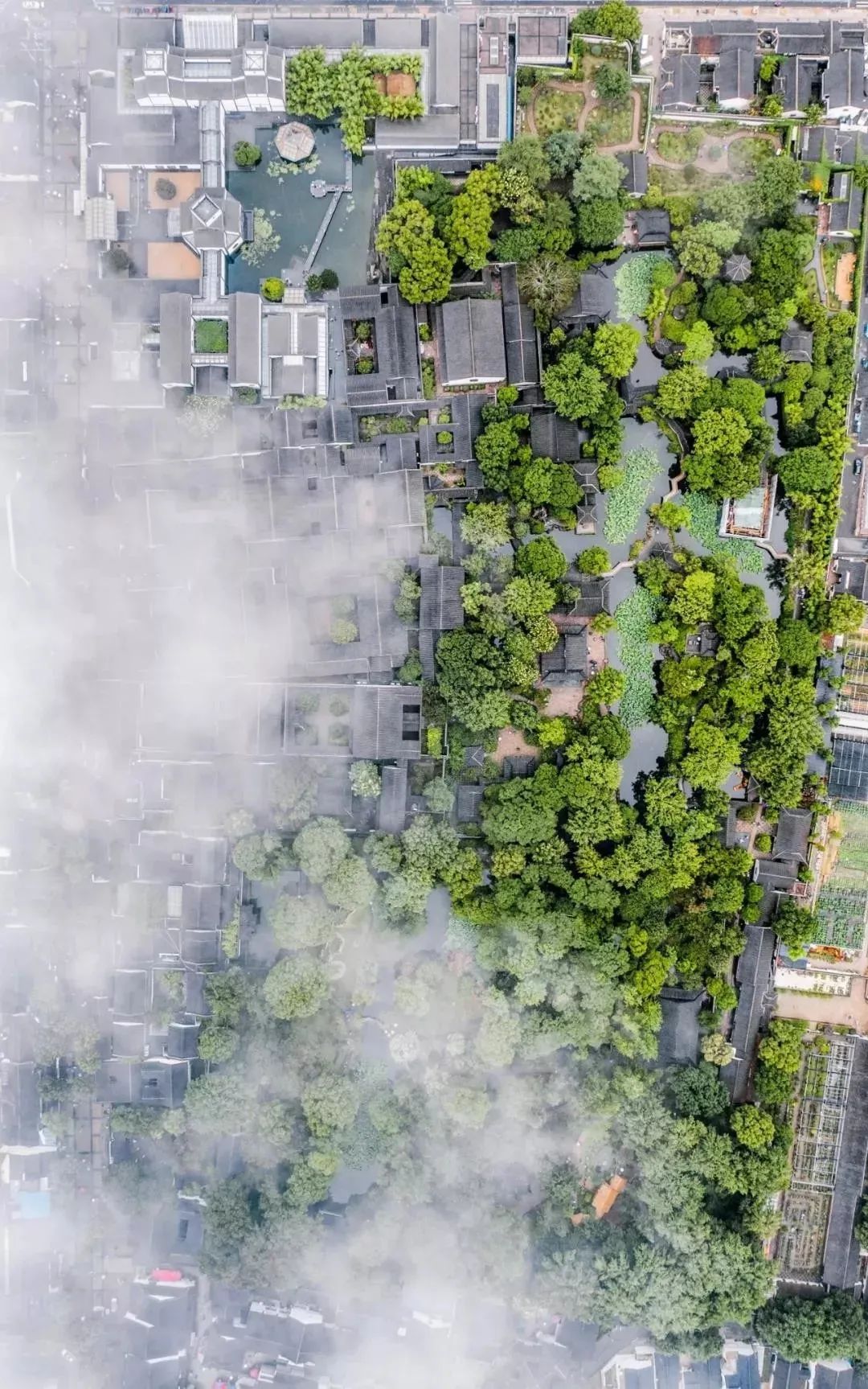 第四代住宅庭院景观,第四代住宅景观细节