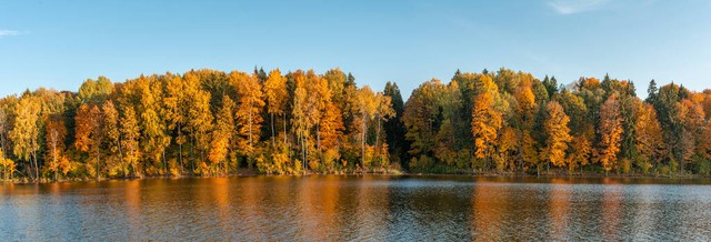 七律初夏七绝,七律秋日晨雨