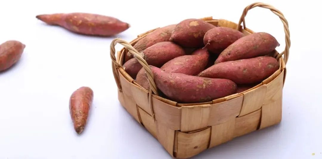 鐣柉鍦扮摐鑺嬪ご,鐣柉鑺嬪ご鍦嗗瓙