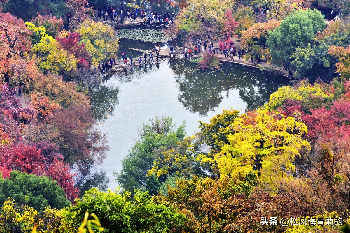 地上的花开万紫千红,心中有花香人生四季皆风景