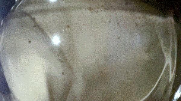 小户型买前必看的选购攻略,附LG新品小旋风洗烘一体机测评