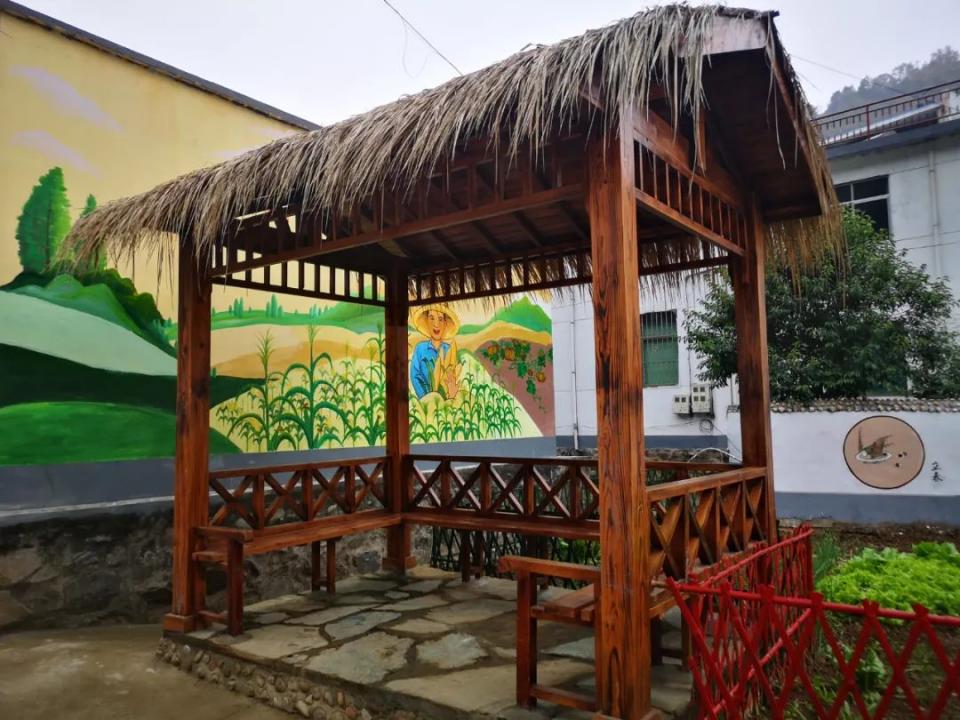 丹凤推进乡村振兴示范村建设,丹凤县美丽乡村建设