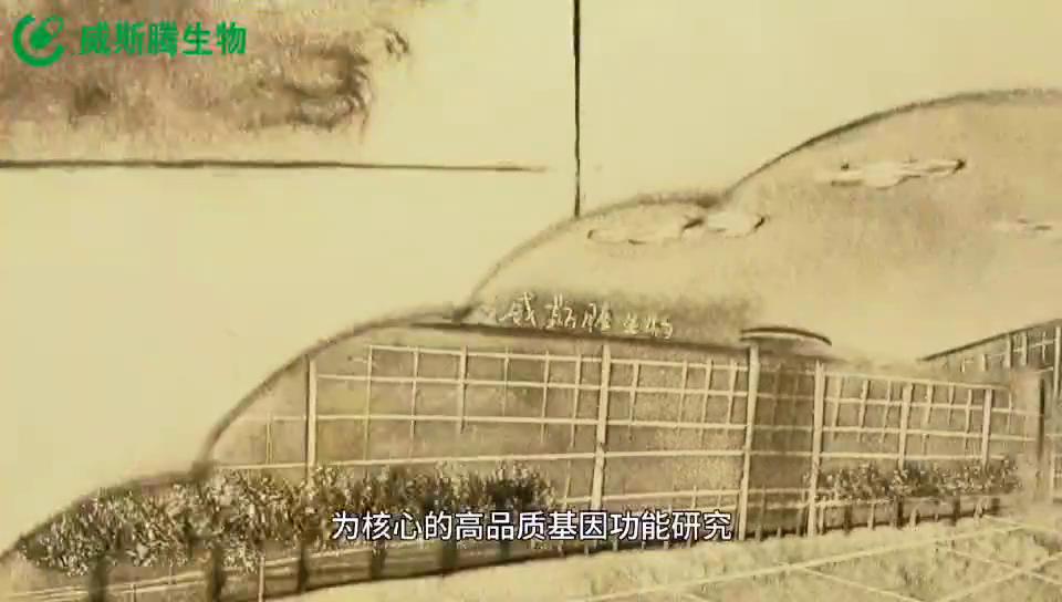 威斯腾生物医药科技,威斯腾生物联系方式