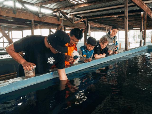 周游记2新西兰之旅,新西兰之旅15集