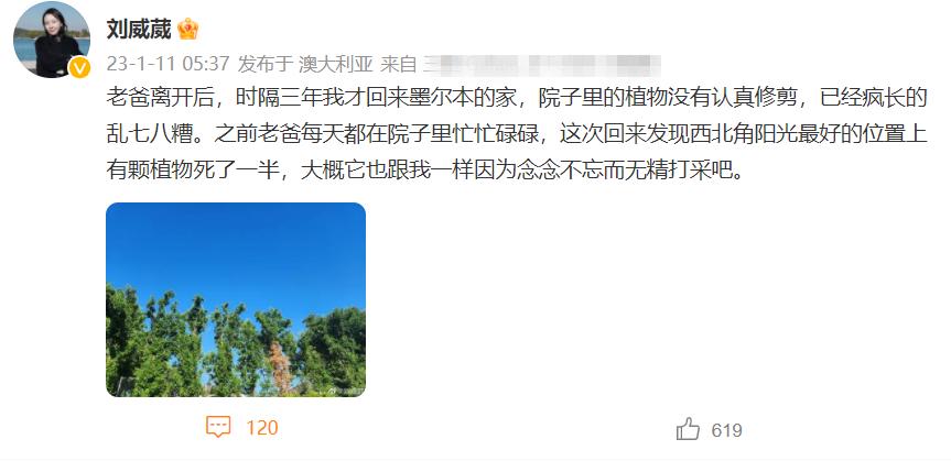 刘威葳年轻照,刘威葳走路视频