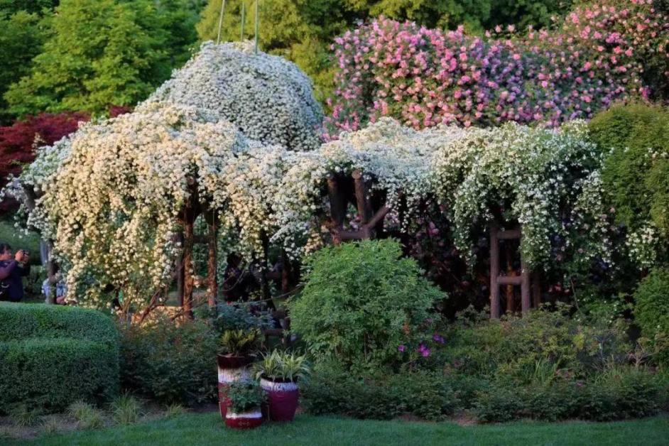 五一的常州,常州的五一