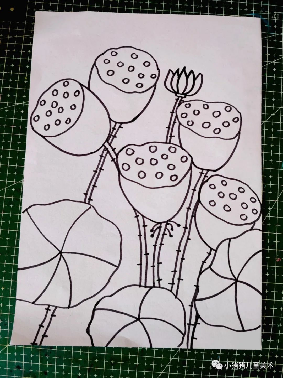 荷花莲蓬文案短句干净,荷花莲蓬