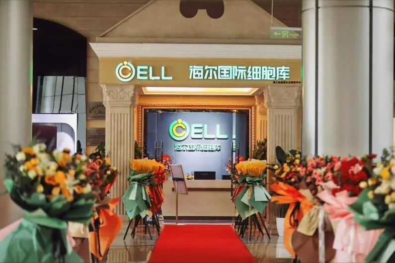 海尔国际细胞库,海尔国际细胞库图片