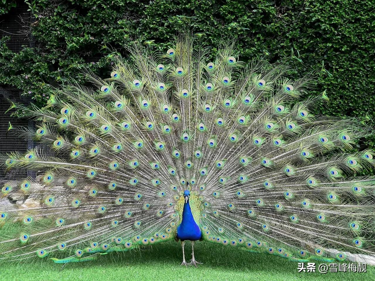 疫情之下的生活状态和感悟,疫情之下对生命及生活的感悟