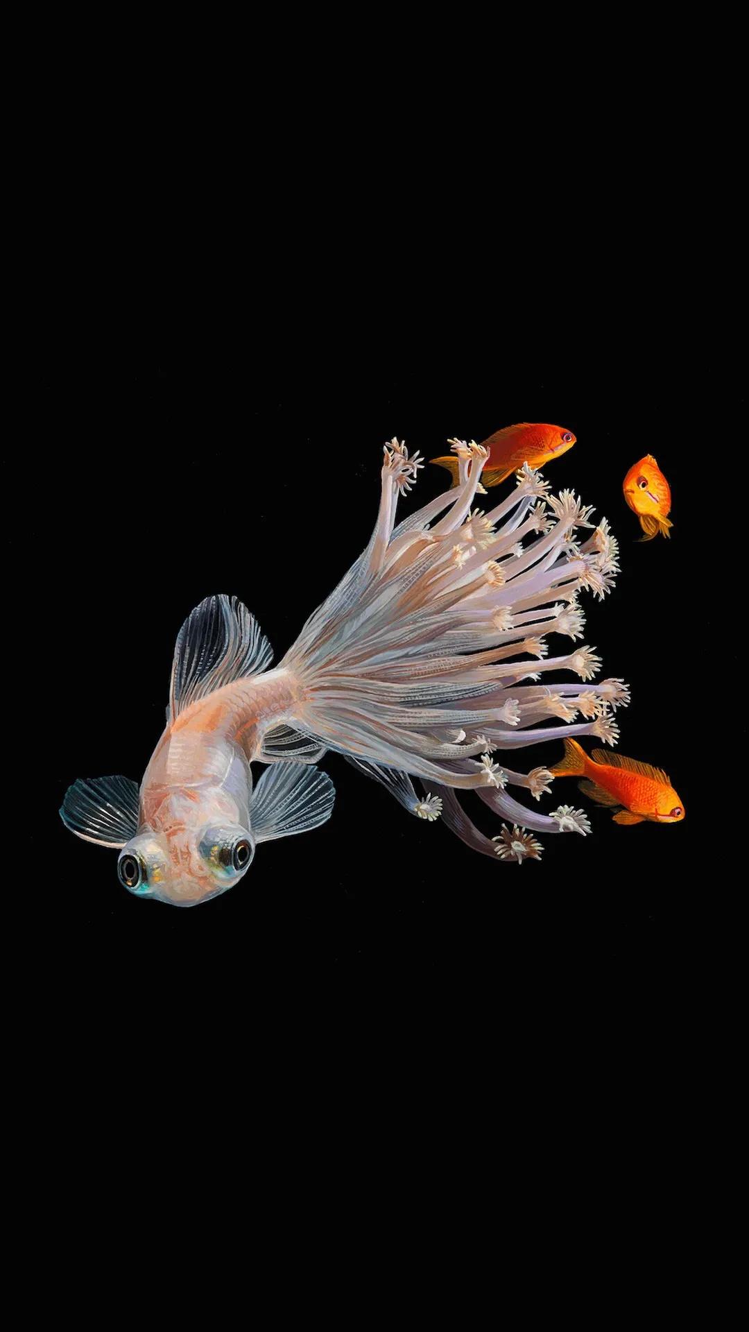 最美的光背景图片,超好看的夜晚蓝色的背景图