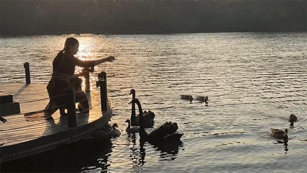 魔都，隐蔽60年的花园酒店，一窗一檐都是故事