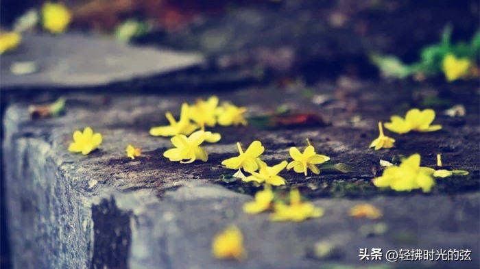 中国史上最美36首诗词,中国最美诗词十首