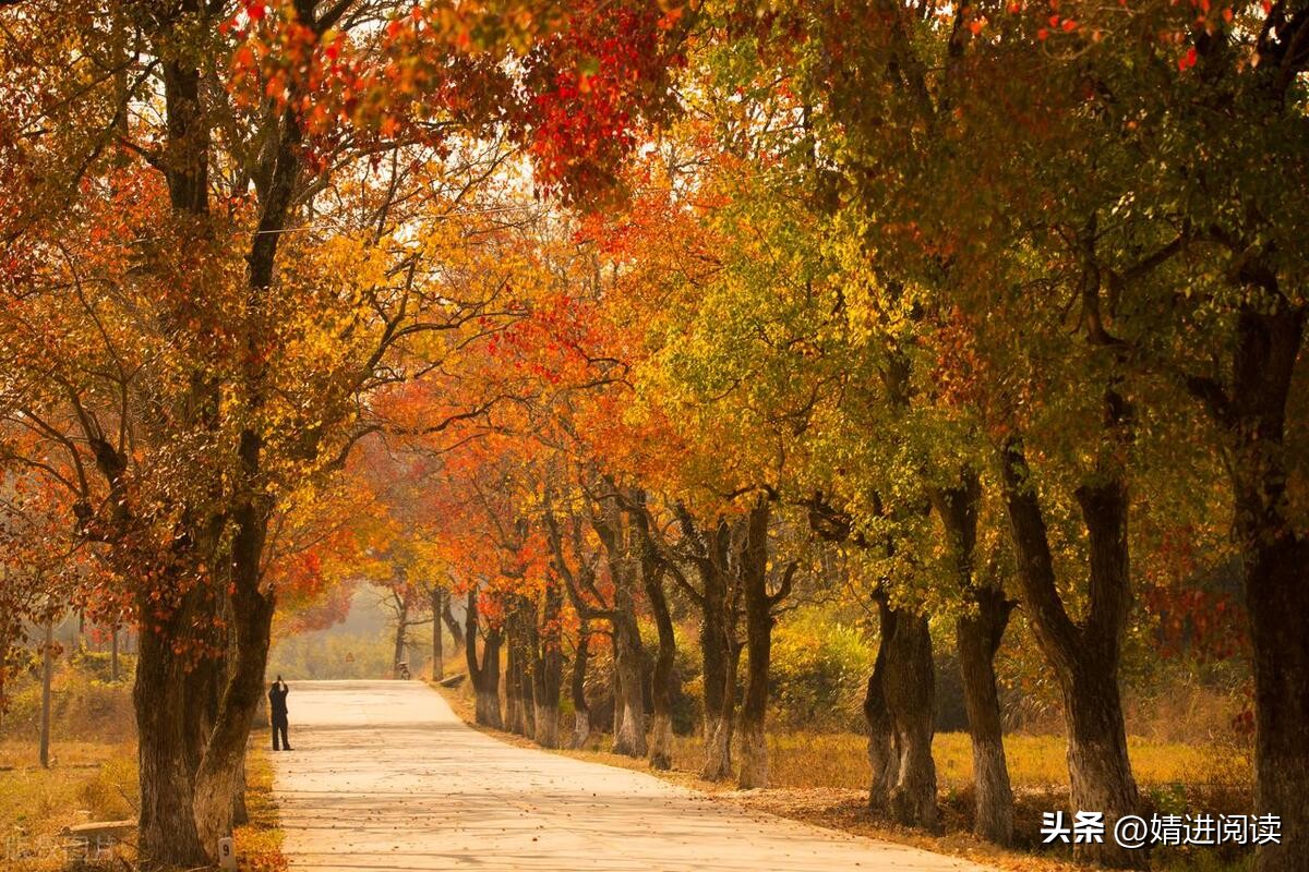 一个普通人的逆袭的故事,逆袭人生的真实故事