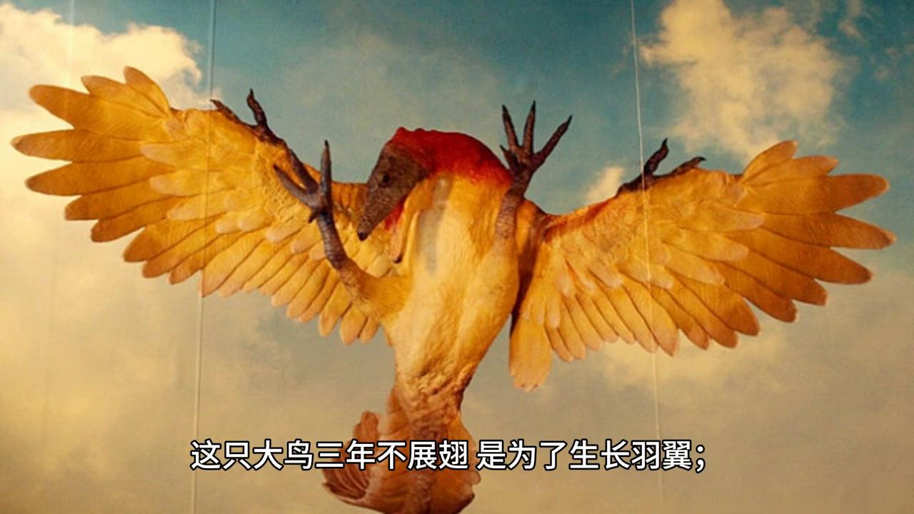 清醒是自己在低谷期悟出来的,低谷时不要轻言放弃自己