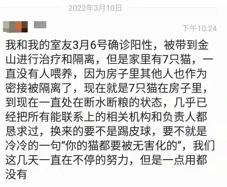 猫咪可以饿几天不死,猫咪可以饿多久会吃猫粮