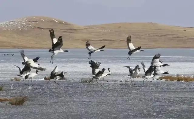 马上放暑假了，打算去哪里玩：昭通大山包