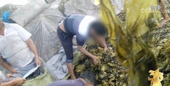 女孩打玻尿酸致脑梗、老坛酸菜用脚踩，3.15晚会都曝光了哪些惊人黑幕？