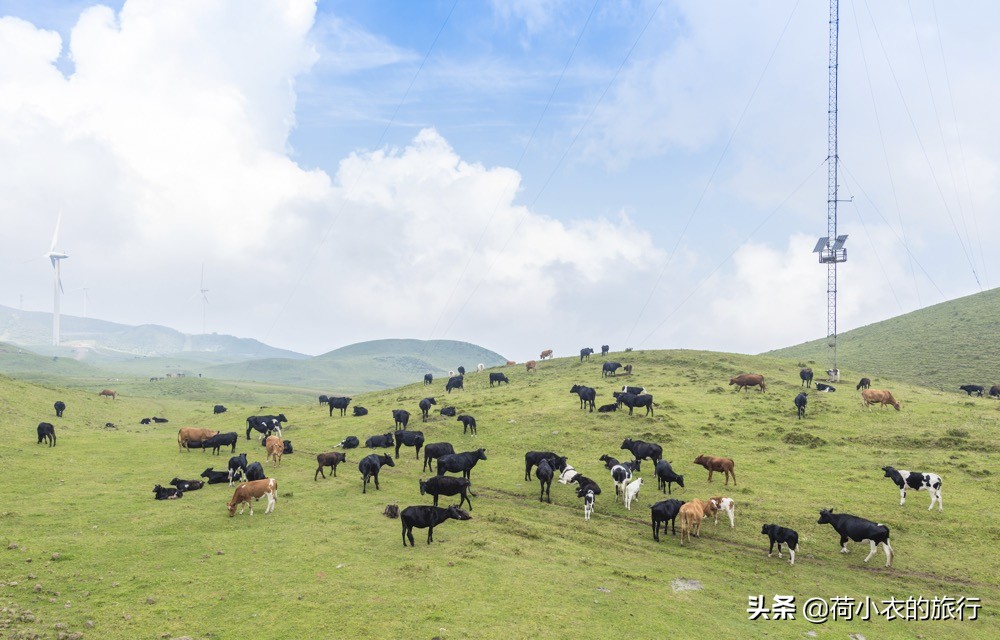 中国唯一既避暑又避寒的地方,中国凉都避暑胜地