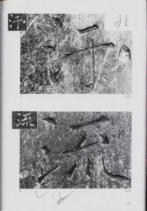 宸ョ瑪鐢绘潹鏅箟鐢诲唽,鏉滈箖鏉ㄦ櫘涔夊畬鏁寸増