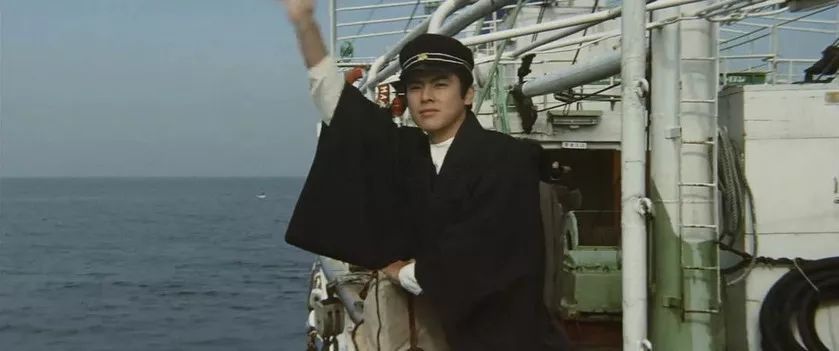 日本伊豆七彩神仙鱼,伊豆在日本哪个县