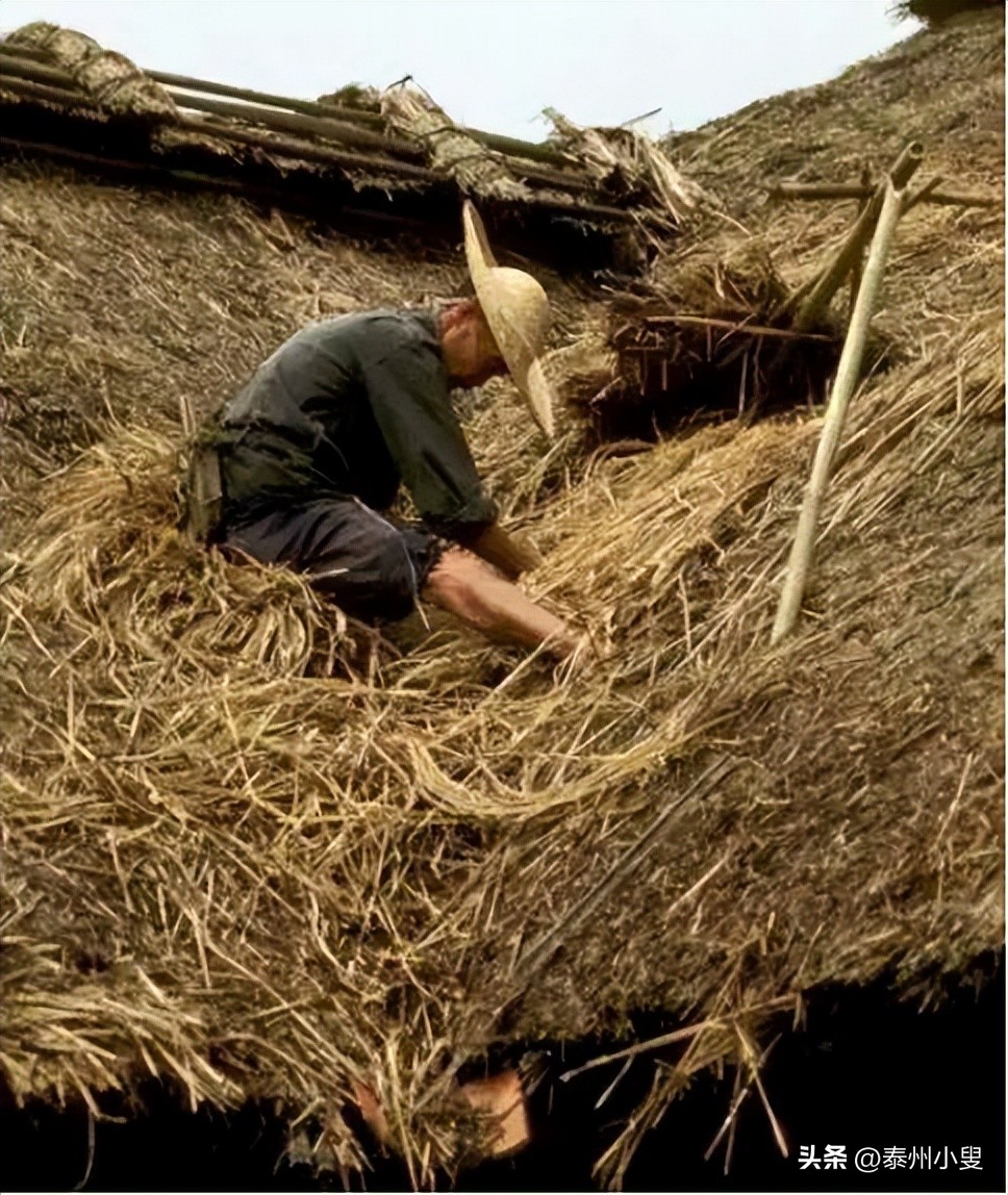 记忆中那个熟悉的身影,盘点那些熟悉又陌生的身影