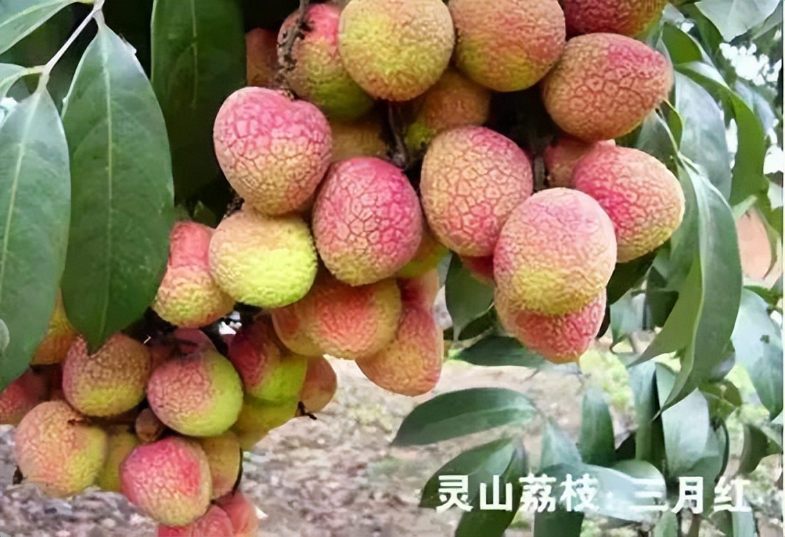 航拍中国广西第四季解说词,航拍中国第四季广西在哪看